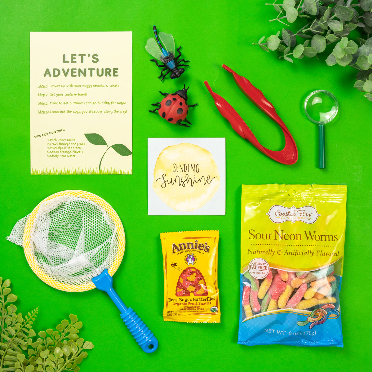 OUTDOOR ADVENTURE BOX